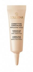 CAMOUFLAGE CONCEALER – Total Perfection