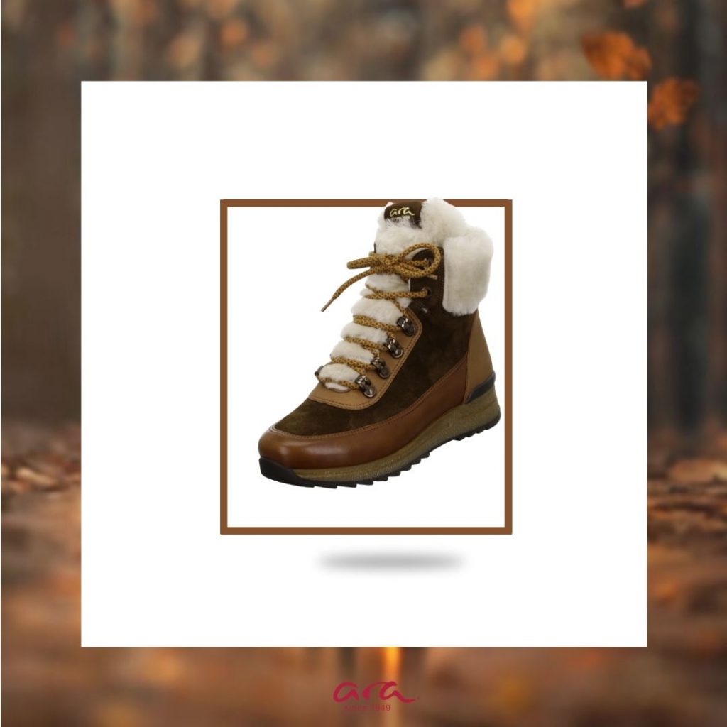 Arini čevlji jesen zima 2020