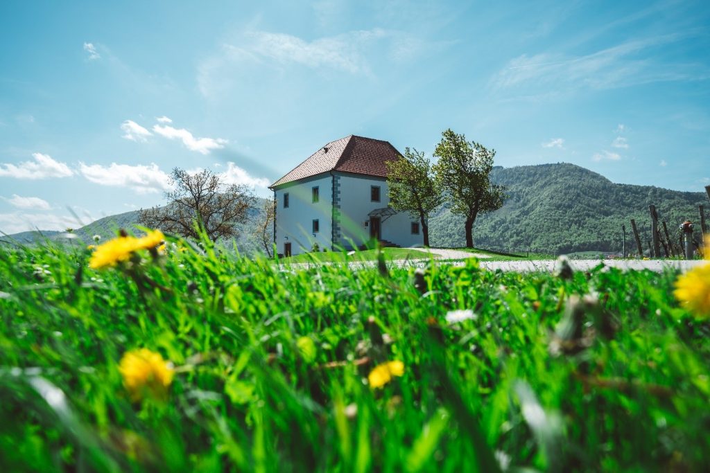 apartmaji Vinska klet Zlati grič