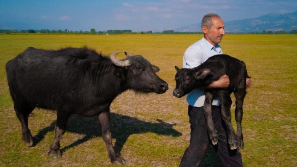 Nagradni natečaj Hiawei Xmage 2025