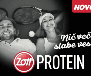 Zott Protein