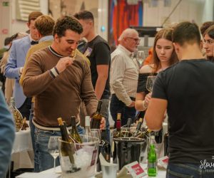 27. Slovenski festival vin